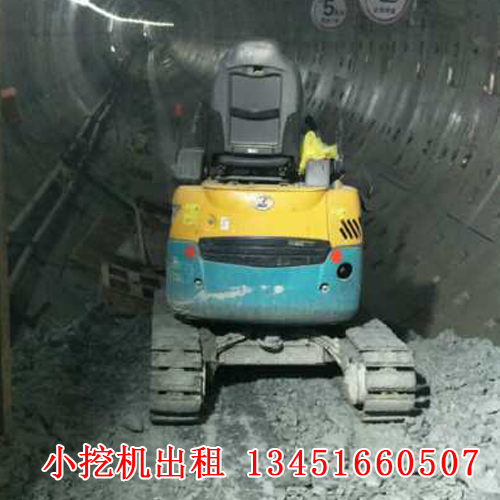 微型小挖機(jī)租賃的應(yīng)用廣泛，今天帶大家來了解一下！(圖1)